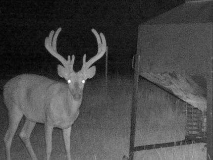 Property in Meade County, Kansas