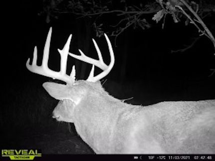 Property in Benton County, Iowa