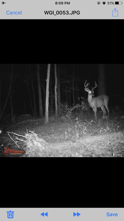 Property in Madison County, Arkansas