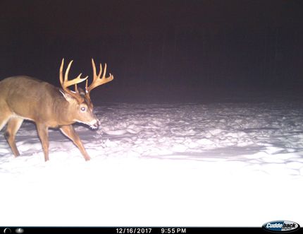 Property in Manitowoc County, Wisconsin