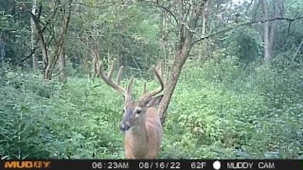 Property in Knox County, Illinois