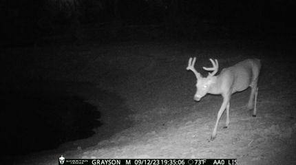 Property in Grayson County, Kentucky