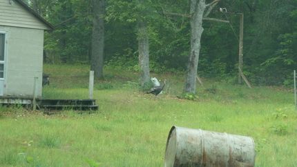 Property in Clare County, Michigan