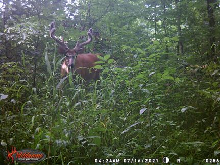 Property in King George County, Virginia