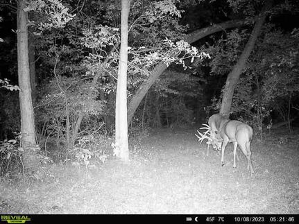 Property in Kankakee County, Illinois