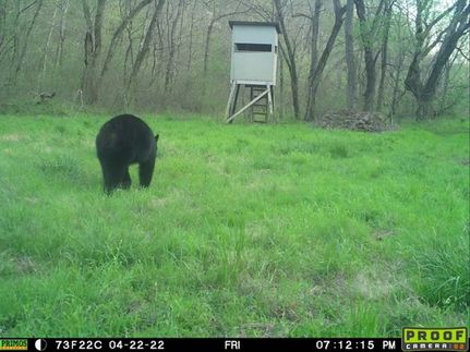 Property in Stone County, Arkansas