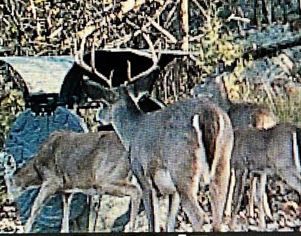 Property in Franklin County, Tennessee