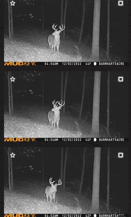 Property in Jefferson County, Missouri