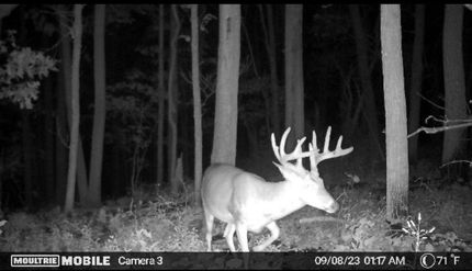 Property in Indiana County, Pennsylvania