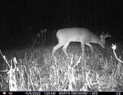 Property in Manitowoc County, Wisconsin