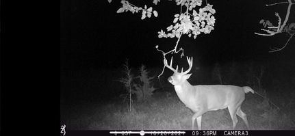 Property in McLean County, Illinois