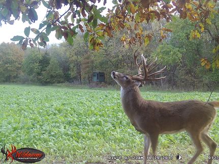 Property in Henry County, Iowa