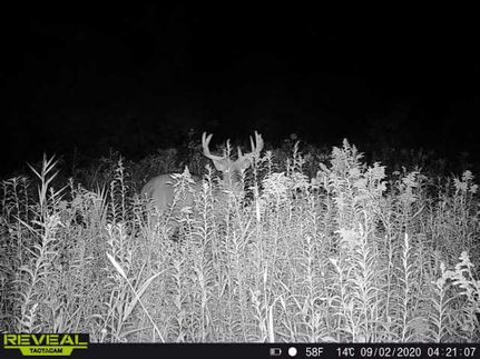 Property in Wright County, Minnesota