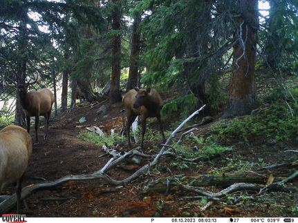 Property in Lake County, Colorado