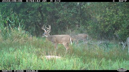 Property in Crawford County, Iowa