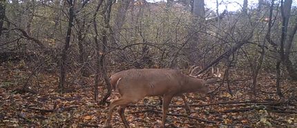 Property in Dane County, Wisconsin