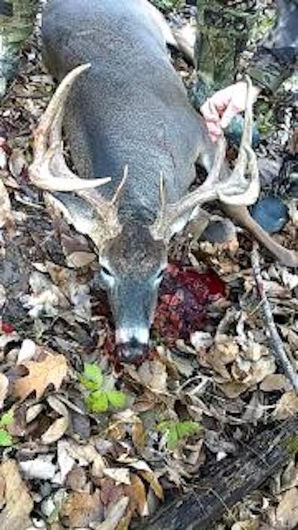 Property in Moultrie County, Illinois