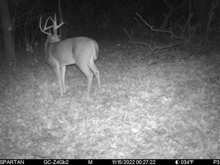 Property in Franklin County, Virginia