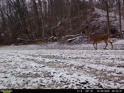 Property in Parke County, Indiana