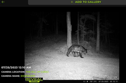 Property in Page County, Virginia