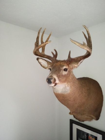 Property in Marinette County, Wisconsin