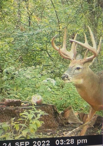 Property in Lorain County, Ohio