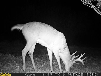 Property in Berrien County, Michigan