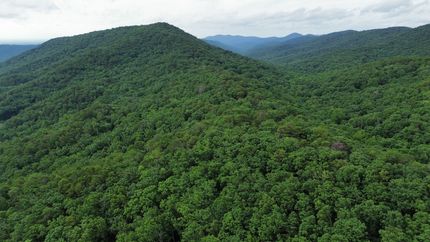 Property in Whitfield County, Georgia