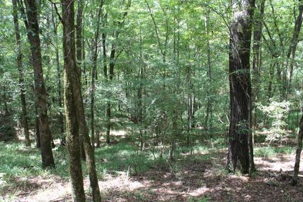 Property in Copiah County, Mississippi