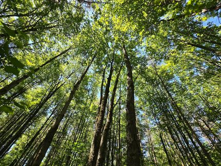 Property in Chenango County, New York