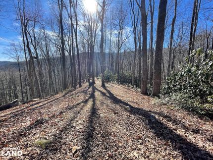 Property in McDowell County, North Carolina