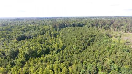 Property in Bradley County, Arkansas