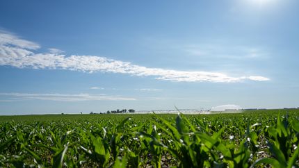 Property in Rock County, Nebraska