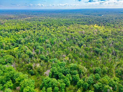 Property in Lake County, Michigan