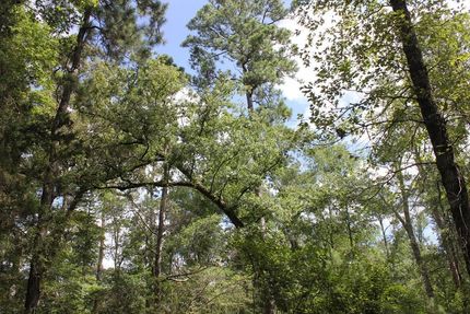 Residential Property for sale in Polk County, Texas