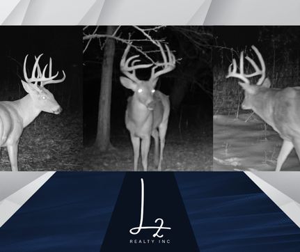 Property in Sumner County, Kansas