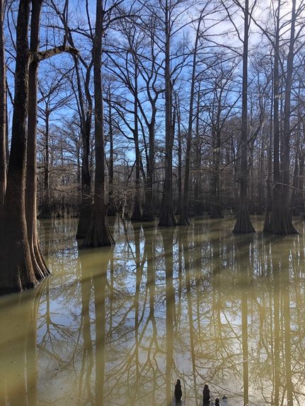 Property in Claiborne County, Mississippi