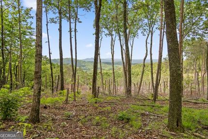 Property for sale in Gilmer County, Georgia