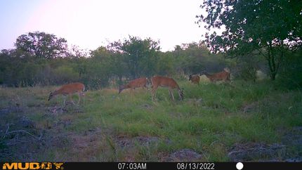 Recreational Property for sale in Mills County, Texas