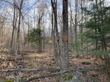 Property in Essex County, New York