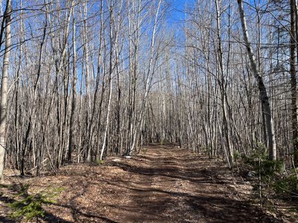 Property in Bayfield County, Wisconsin