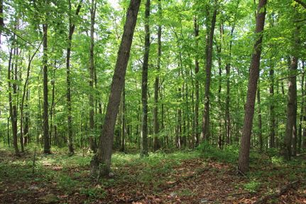 Property in Shenandoah County, Virginia