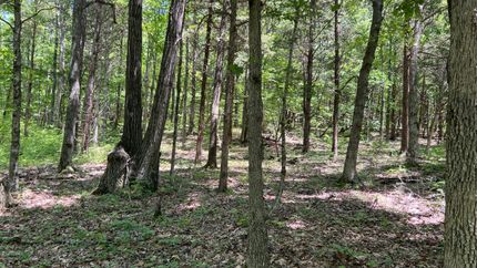 Property in Todd County, Kentucky