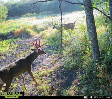 Property in Polk County, Minnesota