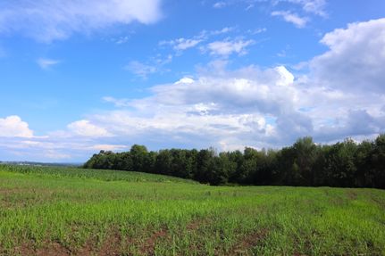 Property in Montgomery County, New York