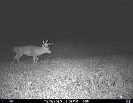 Property in Monona County, Iowa