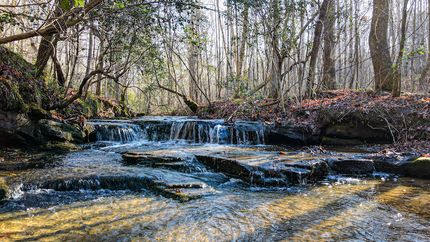 Property in Marion County, Alabama