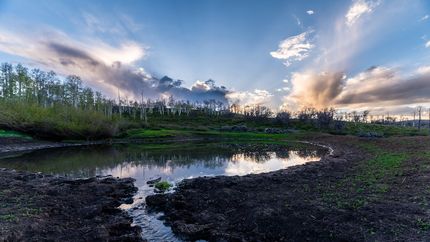 Property in Mesa County, Colorado