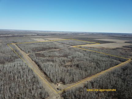Property in Roseau County, Minnesota