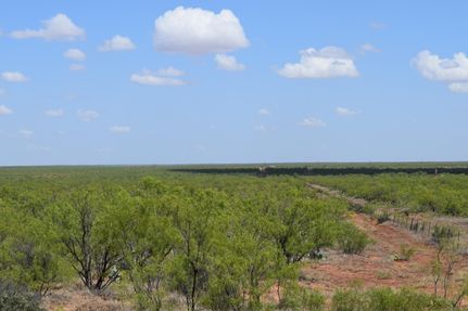 Property for sale in Mitchell County, Texas